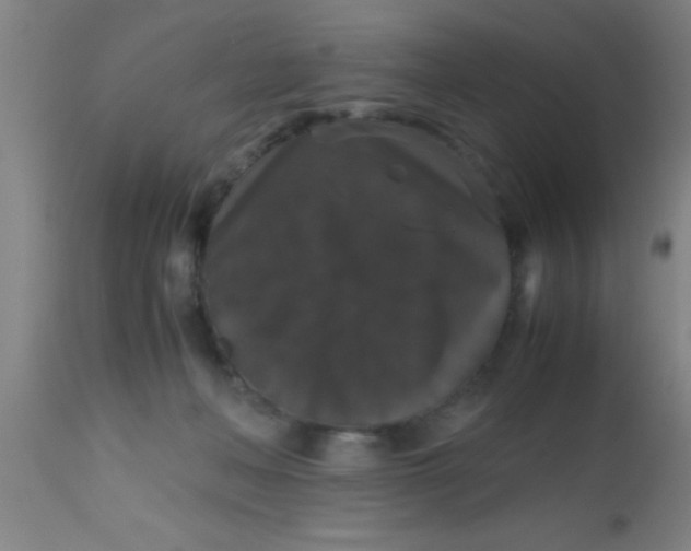 X0000112530222200909071406