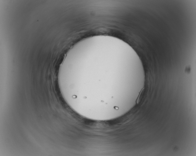 X0000112530223200909071406