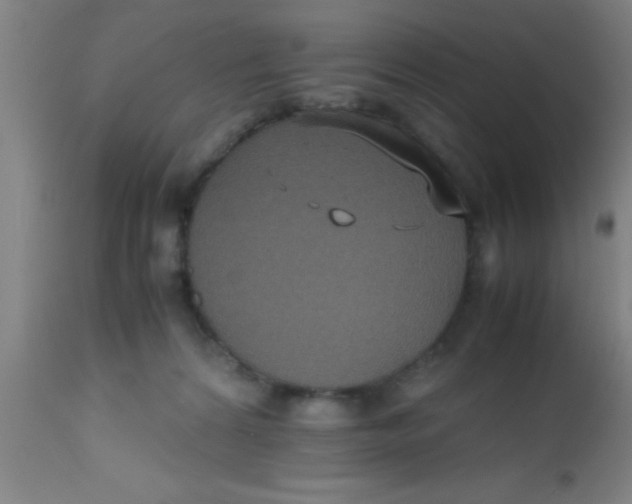 X0000112530224200909071406