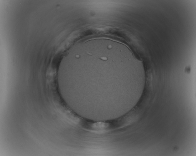 X0000112530225200909071406