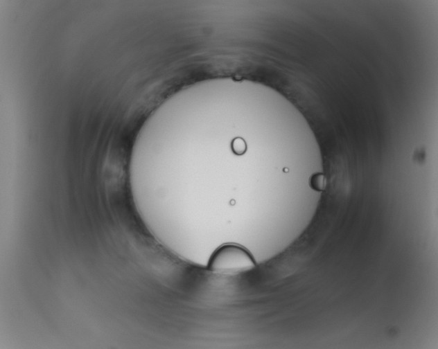 X0000112530226200909071406