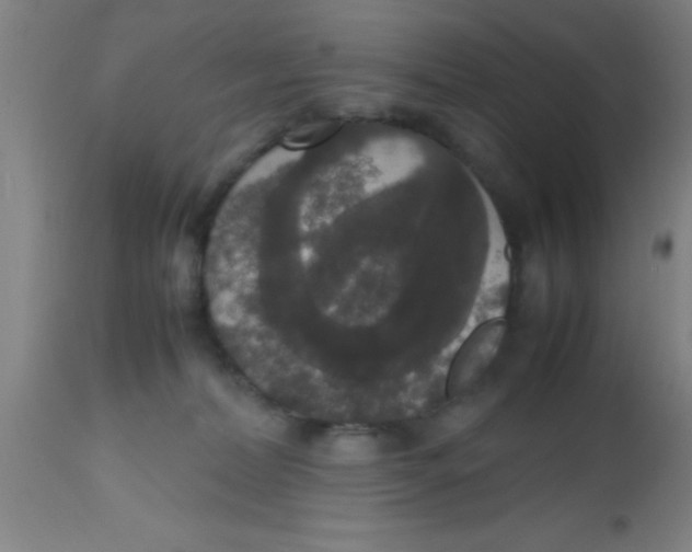 X0000112530228200909071406