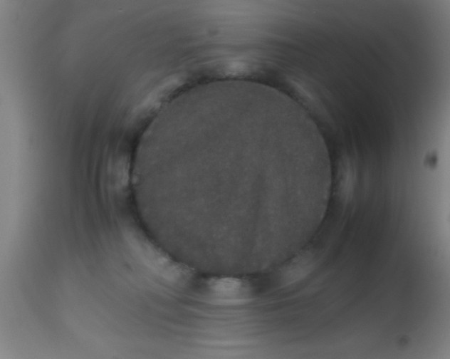 X0000112530230200909071406