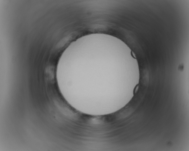 X0000112530232200909071406