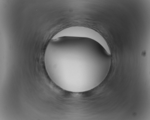 X0000112530233200909071406