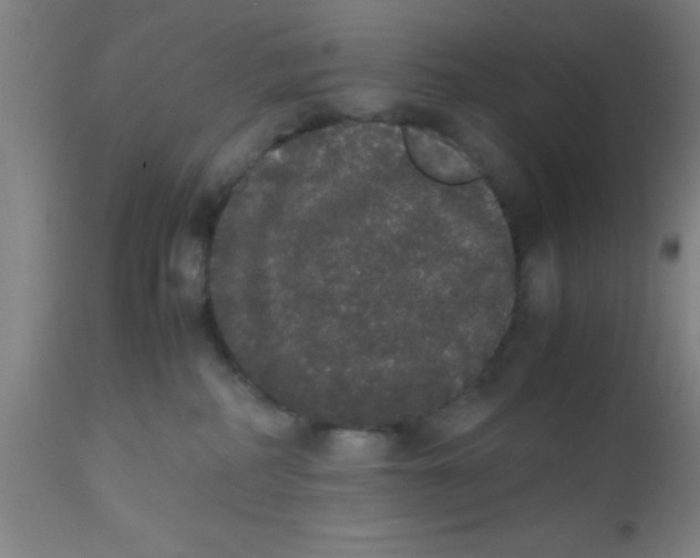 X0000112530234200909071405