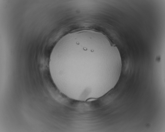 X0000112530236200909071405