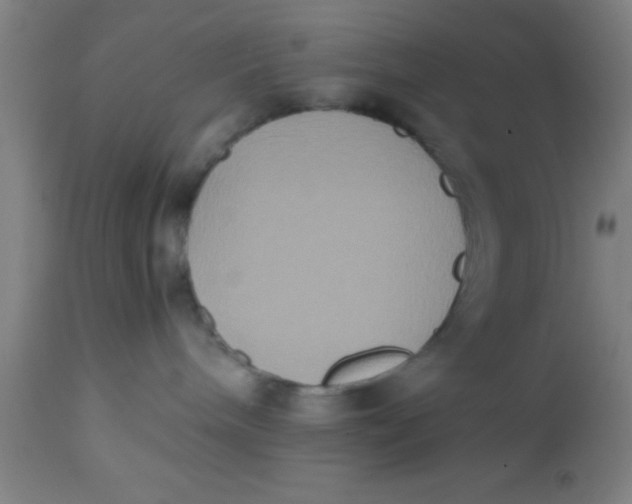 X0000112530240200909071405