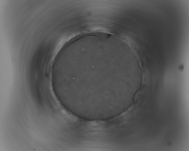 X0000112530241200909071405