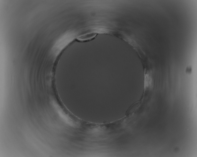 X0000112530243200909071405