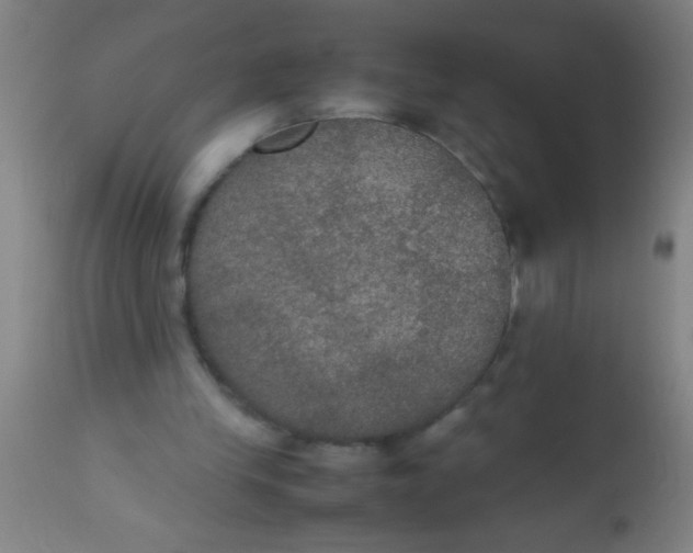 X0000112530245200909071405