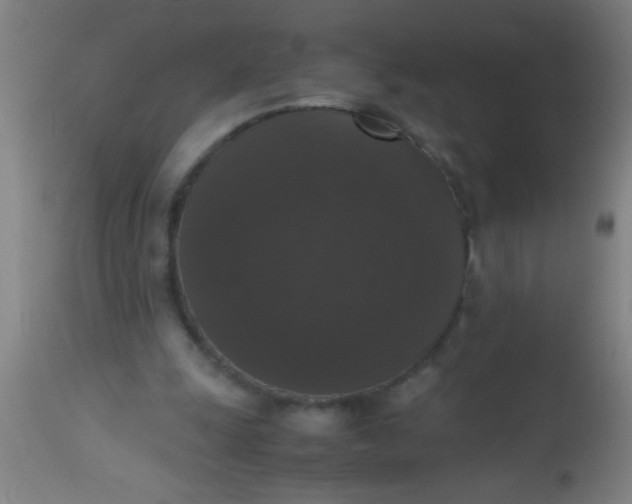 X0000112530247200909071405