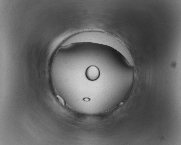 X0000112530248200909071405