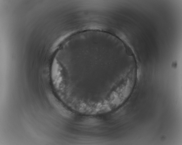 X0000112530249200909071405