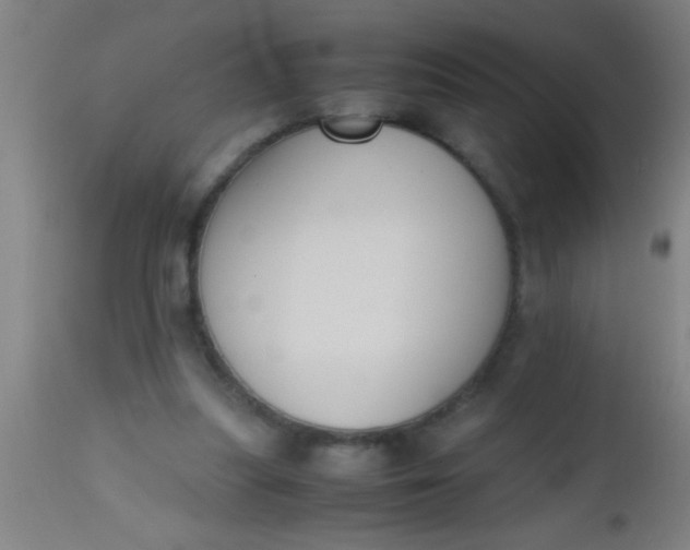 X0000112530251200909071405