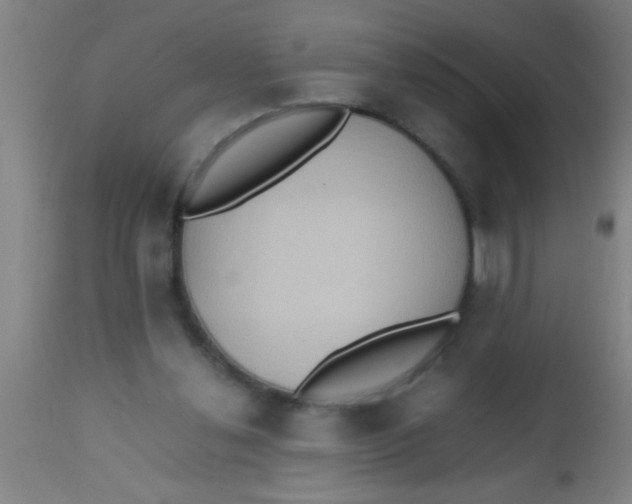 X0000112530252200909071405