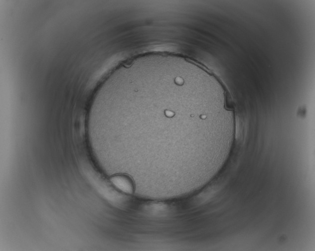 X0000112530253200909071405