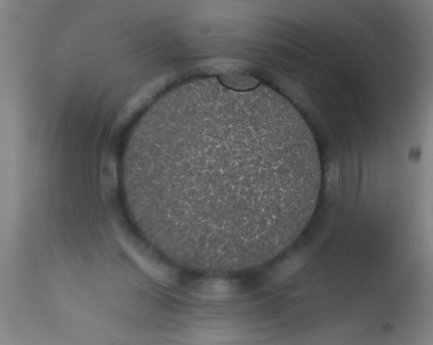 X0000112530254200909071405