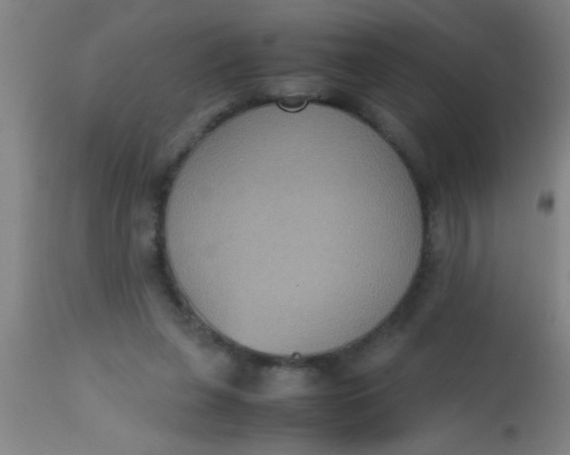 X0000112530255200909071405