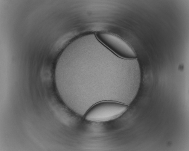 X0000112530256200909071405