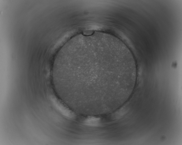 X0000112530257200909071405