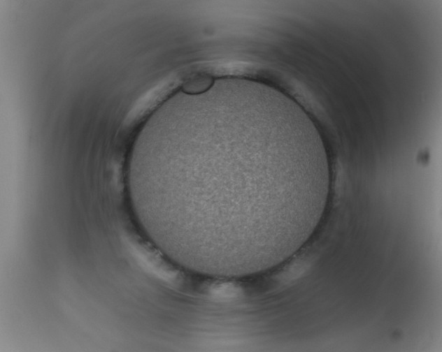 X0000112530258200909071405