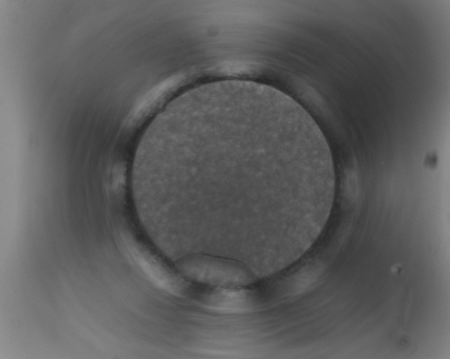 X0000112530260200909071405