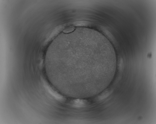 X0000112530261200909071405