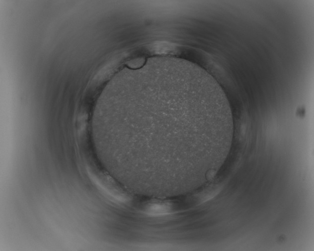 X0000112530263200909071405