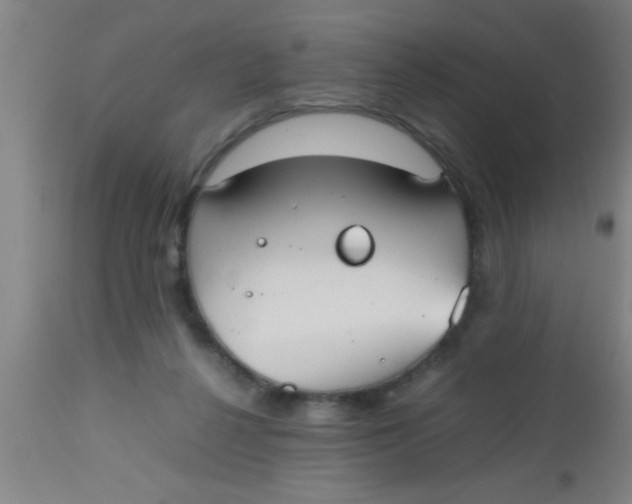 X0000112530264200909071405