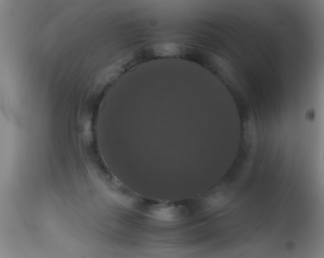 X0000112530267200909071405