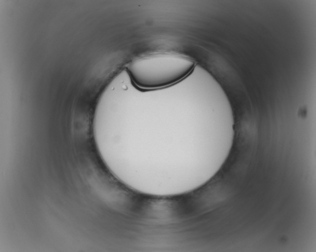 X0000112530268200909071405