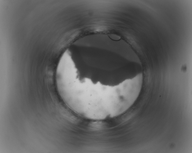 X0000112530269200909071405