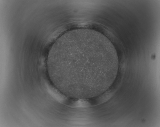 X0000112530270200909071405