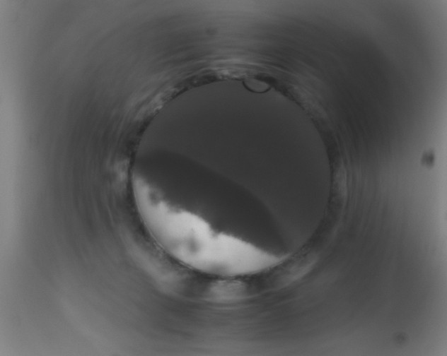 X0000112530271200909071405