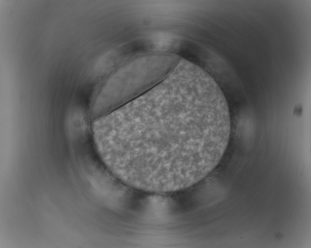 X0000112530272200909071405