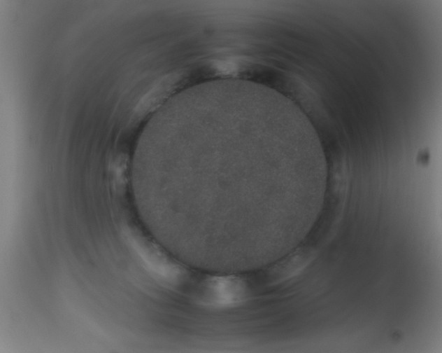 X0000112530275200909071405