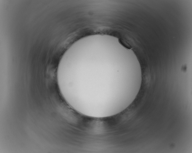 X0000112530276200909071405