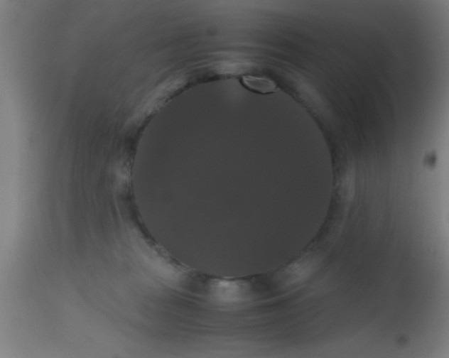 X0000112530277200909071405