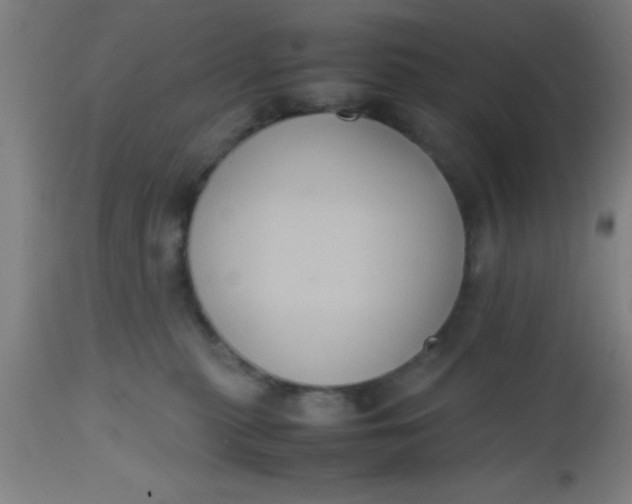 X0000112530279200909071405