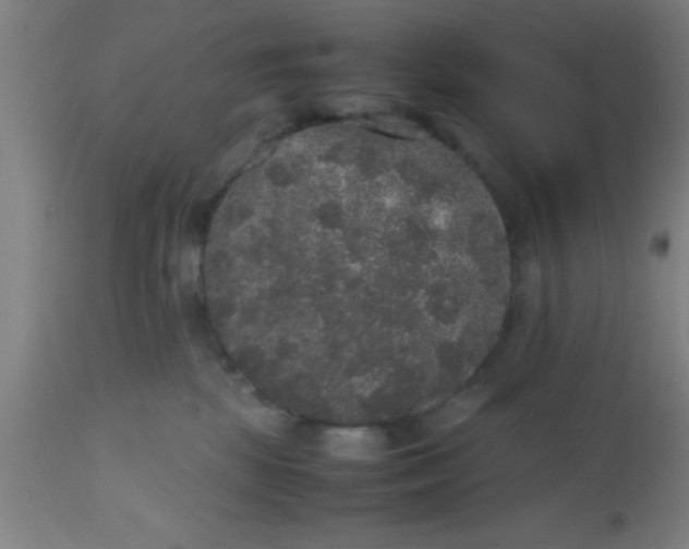 X0000112530281200909071405