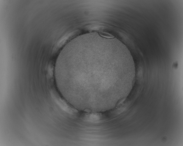 X0000112530282200909071405