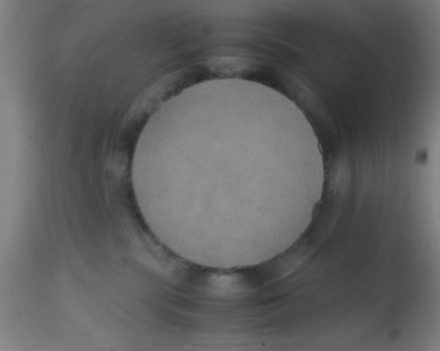 X0000112530283200909071405