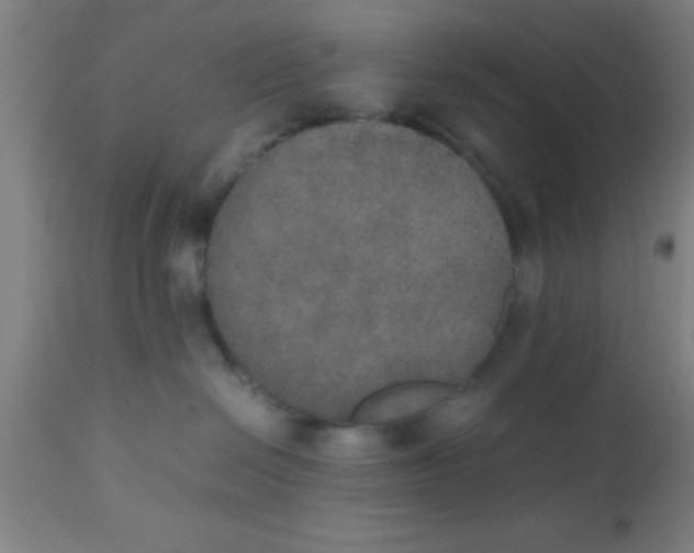 X0000112530286200909071405