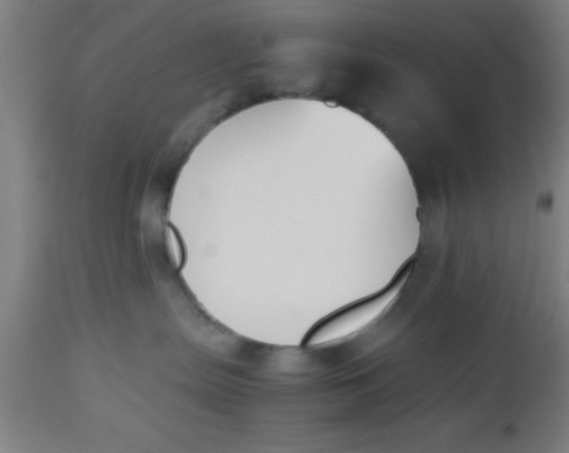 X0000112530287200909071405