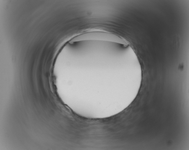 X0000112530289200909071405