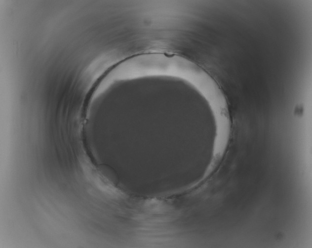 X0000112530290200909071405