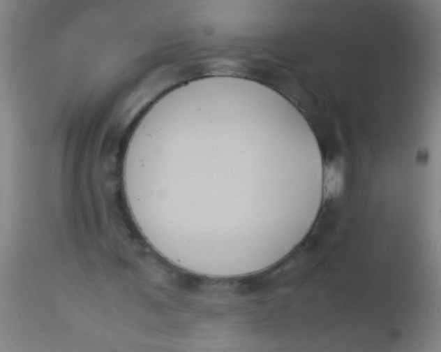 X0000112530291200909071405