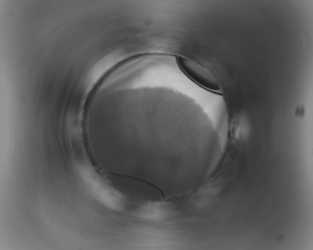 X0000112530292200909071405