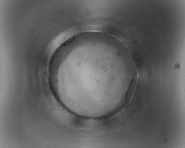 X0000112530293200909071405